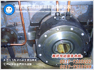 恒歌316不銹鋼異形過濾件 恒歌316不銹鋼異形過濾件