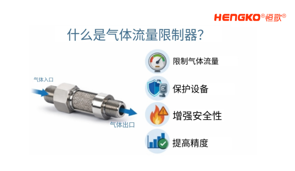 氣體流量限流器1