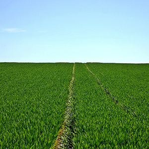 如何借助溫濕度物聯(lián)網(wǎng)技術(shù)讓蔬果實(shí)現(xiàn)增產(chǎn)優(yōu)產(chǎn)？