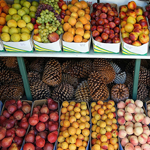 生鮮水果運(yùn)輸